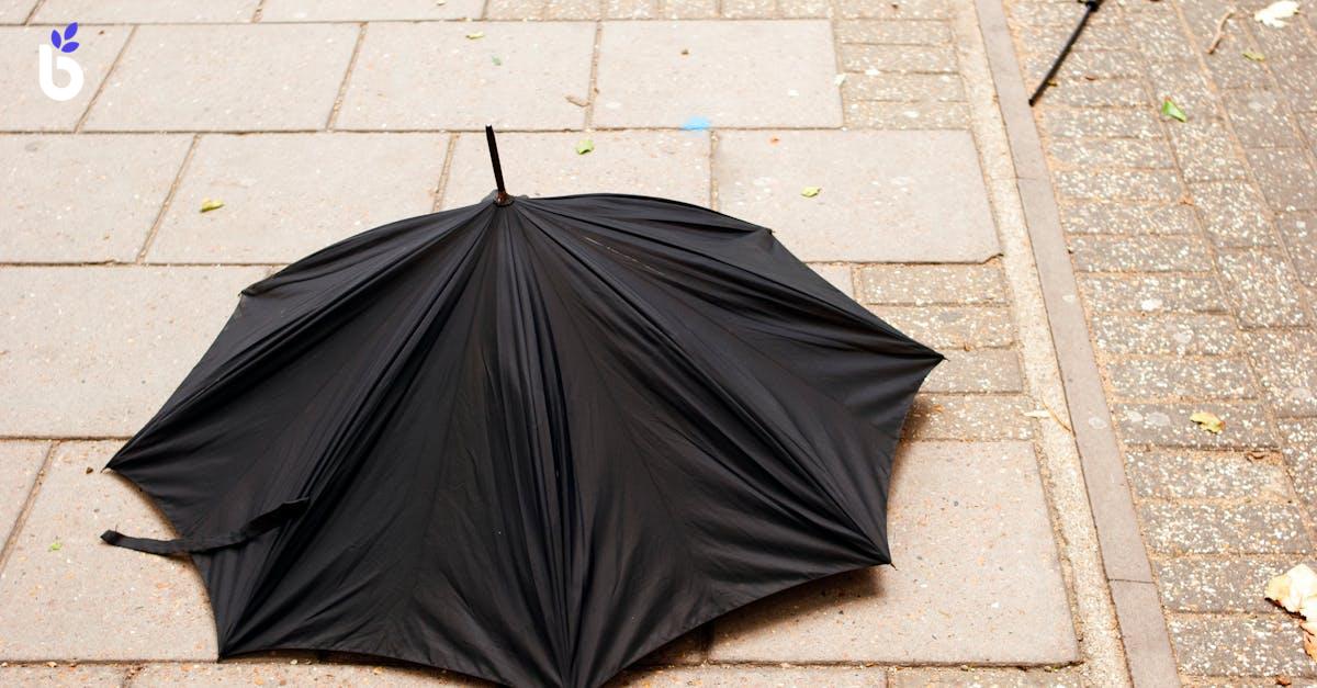 WHAT IS A DISREGARDED ENTITY?