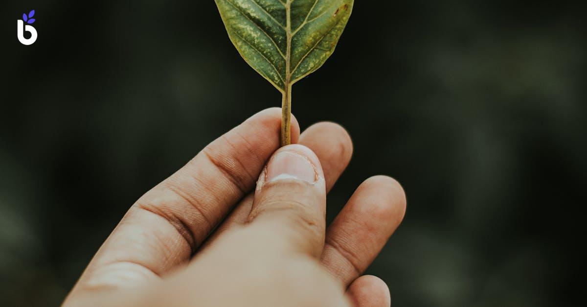 WHAT IS EARNED LEAVE ENCASHMENT?