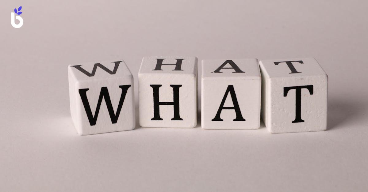WHAT IS FOLLOW-UP?