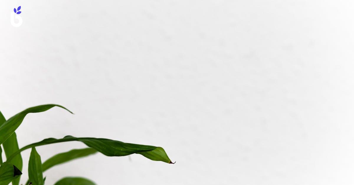 WHAT IS THE PRODUCT LIFE CYCLE?
