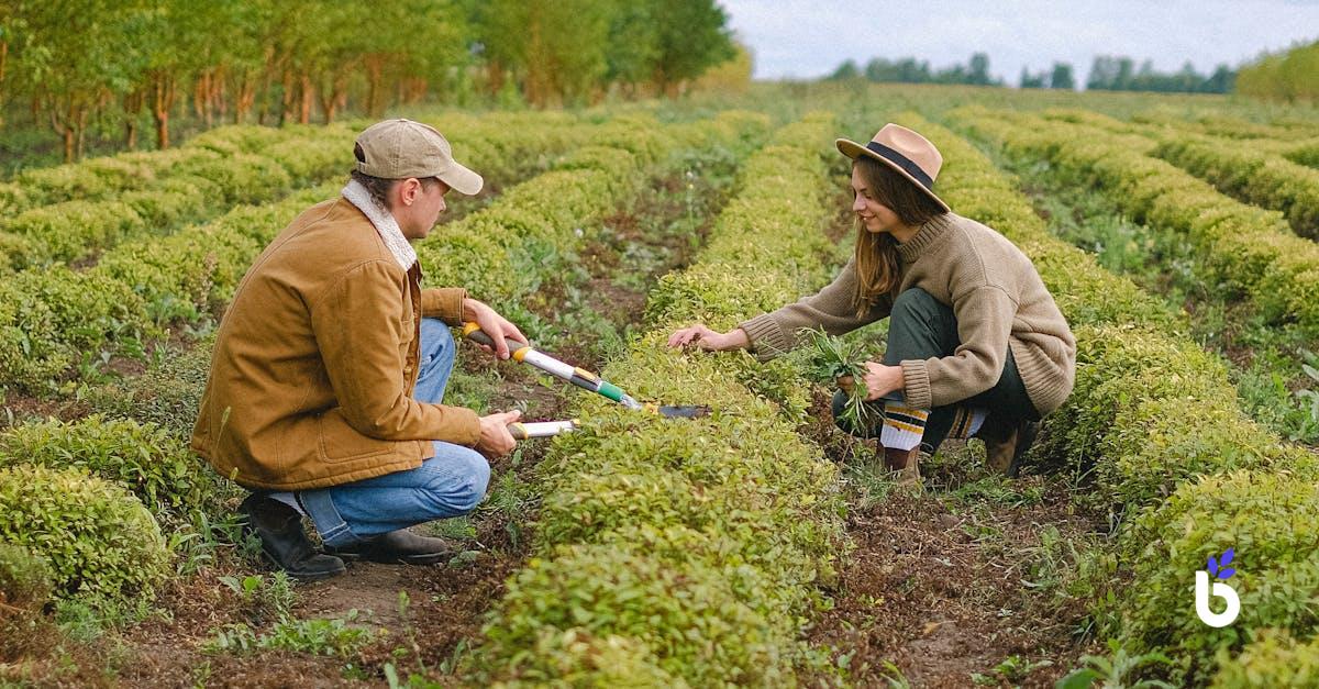 FIELD WORKER JOB DESCRIPTION - BIZCRM APP
