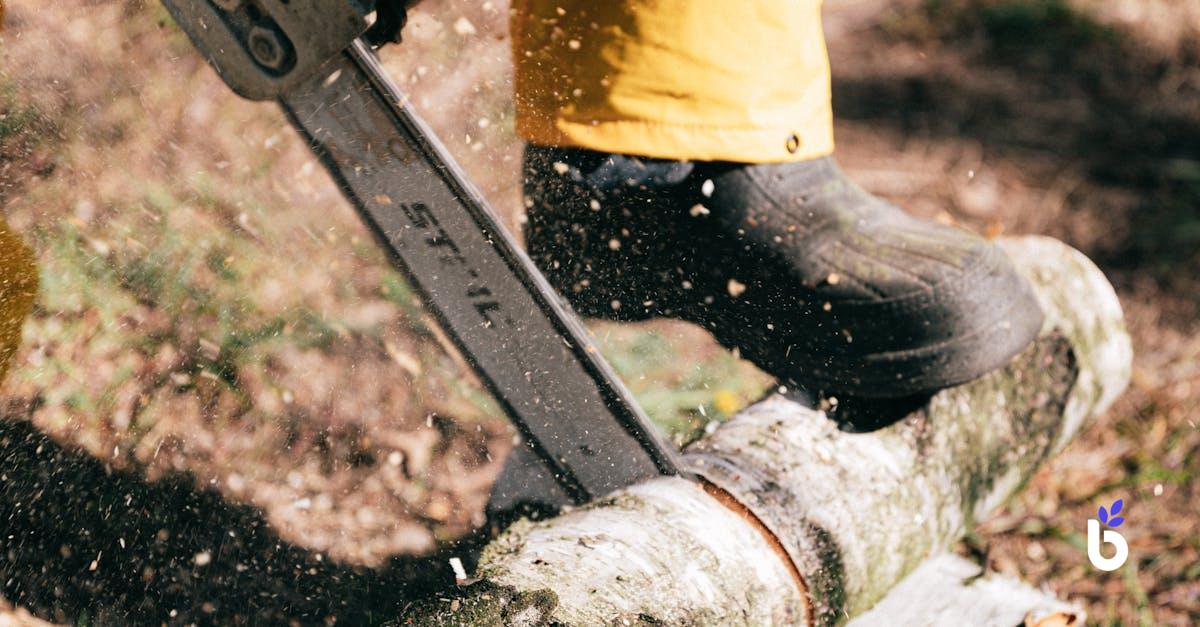 FORESTER JOB DESCRIPTION - BIZCRM APP