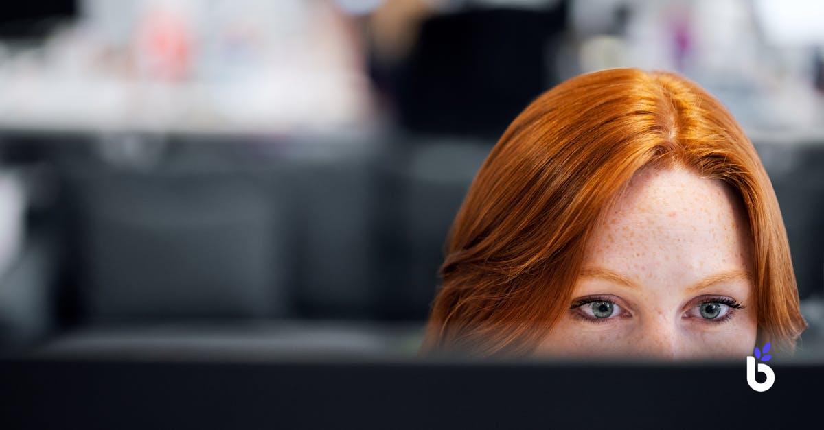 IT ENGINEER JOB DESCRIPTION - BIZCRM APP