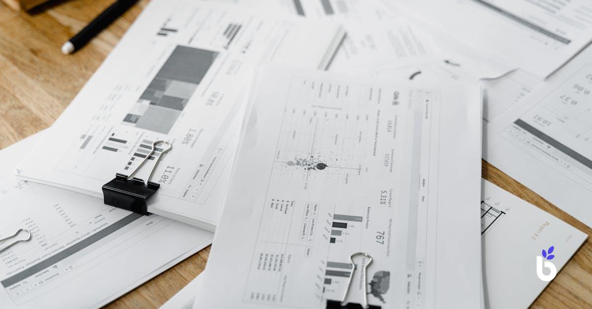 MIS REPORTING JOB DESCRIPTION - BIZCRM APP