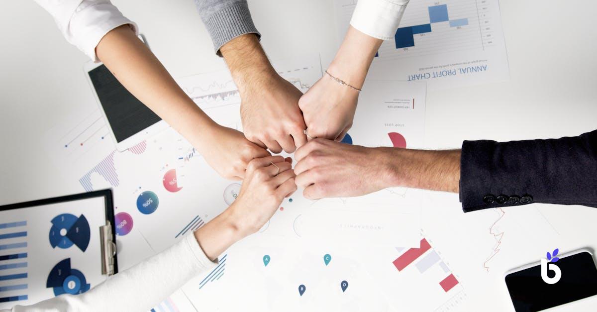 PARTNERSHIP MANAGER JOB DESCRIPTION - BIZCRM APP