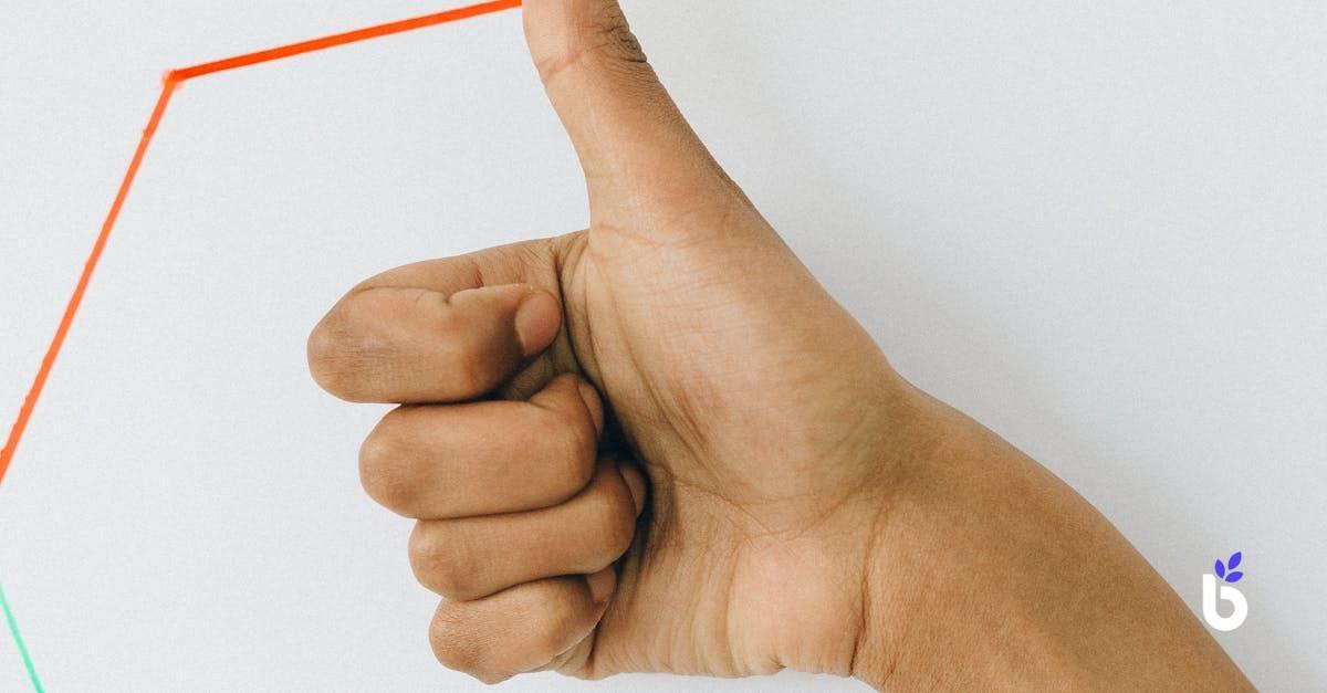 PERFORMANCE MANAGEMENT JOB DESCRIPTION - BIZCRM APP